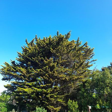 Le Stud' A Saint Pierre D'Oleron ! Lägenhet Rum bild