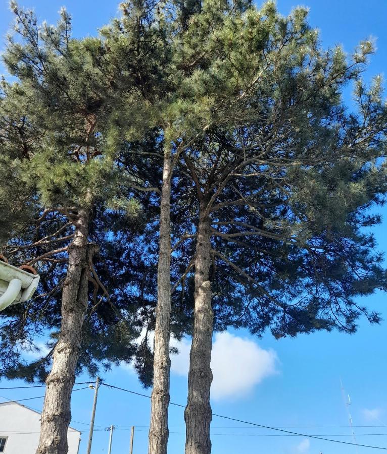 Le Stud' A Saint Pierre D'Oleron ! Lägenhet Exteriör bild